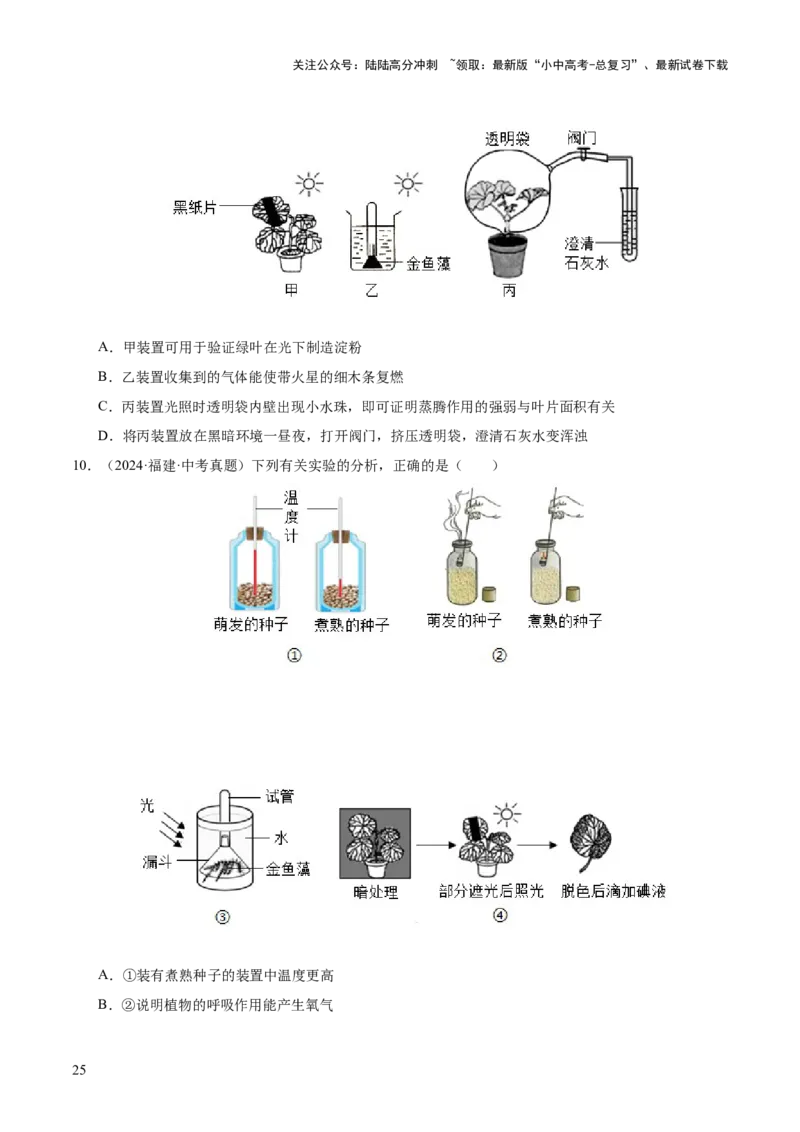 主题四植物的生活（讲练）（原卷版）_02中考总复习（2026版更新中）_08-生物-中考总复习_2025中考复习资料_2025中考二轮课件ppt+讲义+练习生物_讲义+练习