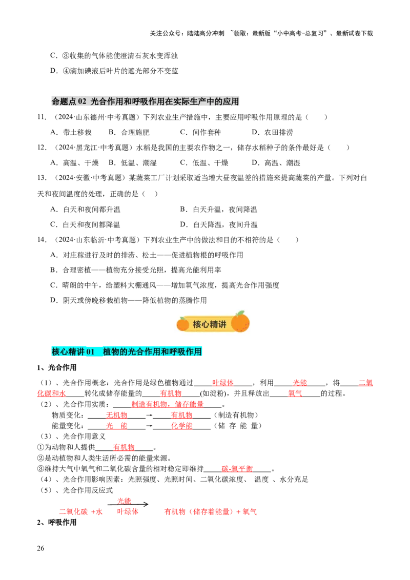 主题四植物的生活（讲练）（原卷版）_02中考总复习（2026版更新中）_08-生物-中考总复习_2025中考复习资料_2025中考二轮课件ppt+讲义+练习生物_讲义+练习