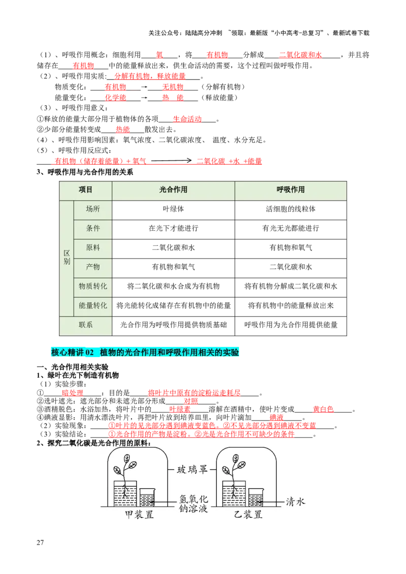 主题四植物的生活（讲练）（原卷版）_02中考总复习（2026版更新中）_08-生物-中考总复习_2025中考复习资料_2025中考二轮课件ppt+讲义+练习生物_讲义+练习