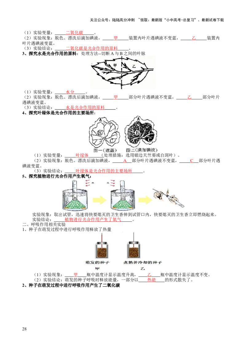主题四植物的生活（讲练）（原卷版）_02中考总复习（2026版更新中）_08-生物-中考总复习_2025中考复习资料_2025中考二轮课件ppt+讲义+练习生物_讲义+练习