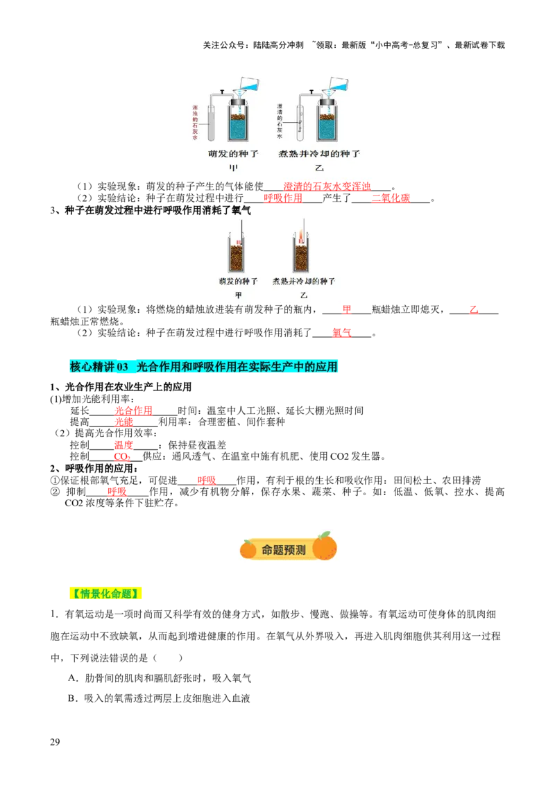 主题四植物的生活（讲练）（原卷版）_02中考总复习（2026版更新中）_08-生物-中考总复习_2025中考复习资料_2025中考二轮课件ppt+讲义+练习生物_讲义+练习