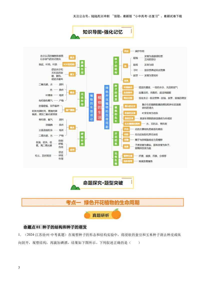 主题四植物的生活（讲练）（原卷版）_02中考总复习（2026版更新中）_08-生物-中考总复习_2025中考复习资料_2025中考二轮课件ppt+讲义+练习生物_讲义+练习