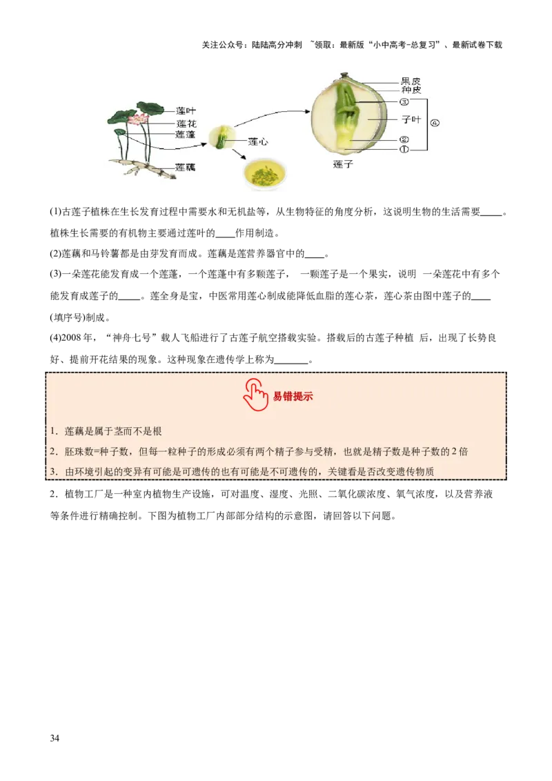 主题四植物的生活（讲练）（原卷版）_02中考总复习（2026版更新中）_08-生物-中考总复习_2025中考复习资料_2025中考二轮课件ppt+讲义+练习生物_讲义+练习