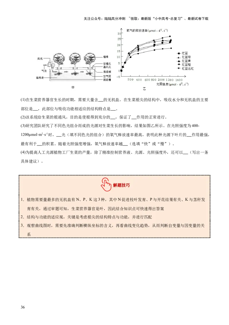 主题四植物的生活（讲练）（原卷版）_02中考总复习（2026版更新中）_08-生物-中考总复习_2025中考复习资料_2025中考二轮课件ppt+讲义+练习生物_讲义+练习
