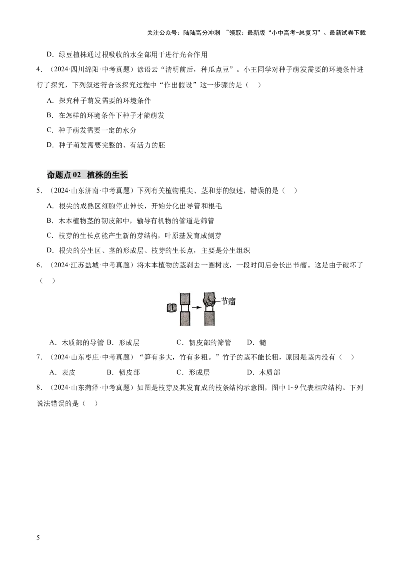 主题四植物的生活（讲练）（原卷版）_02中考总复习（2026版更新中）_08-生物-中考总复习_2025中考复习资料_2025中考二轮课件ppt+讲义+练习生物_讲义+练习