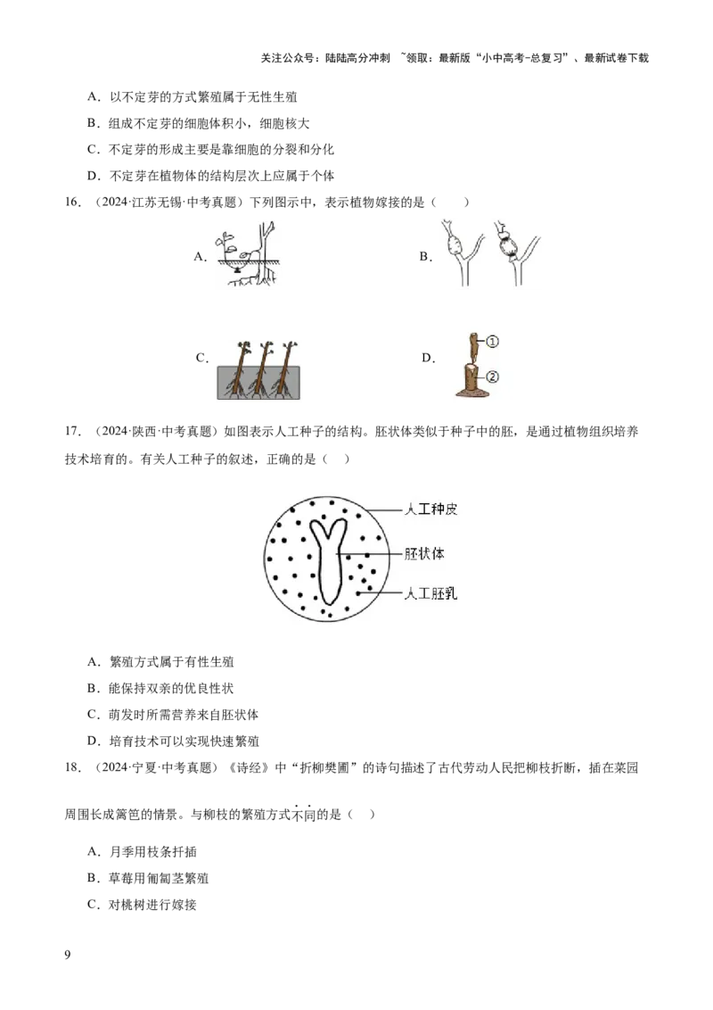 主题四植物的生活（讲练）（原卷版）_02中考总复习（2026版更新中）_08-生物-中考总复习_2025中考复习资料_2025中考二轮课件ppt+讲义+练习生物_讲义+练习