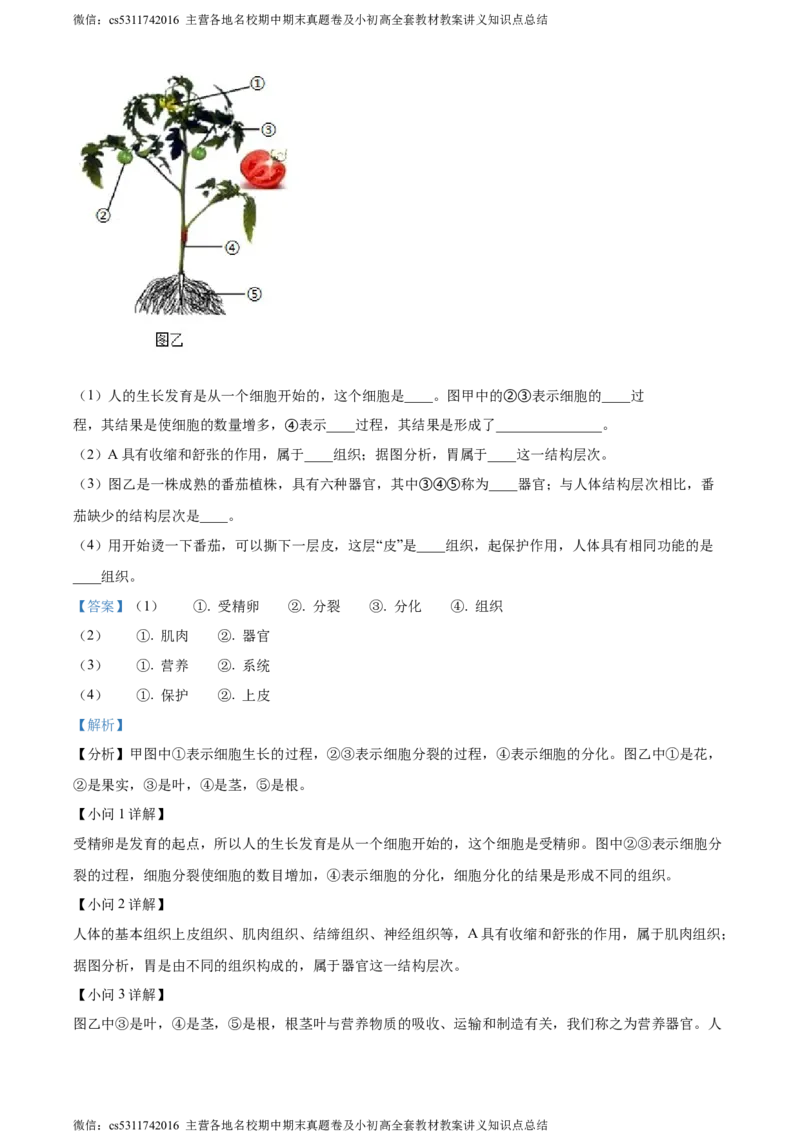 精品解析：天津北京师范大学静海附属学校(天津市静海区北师大实验学校)2023-2024学年七年级上学期期中生物试题（解析版）(1)_北京初中期末题_C605-京七八九_B京生物七八九_北京7上生物
