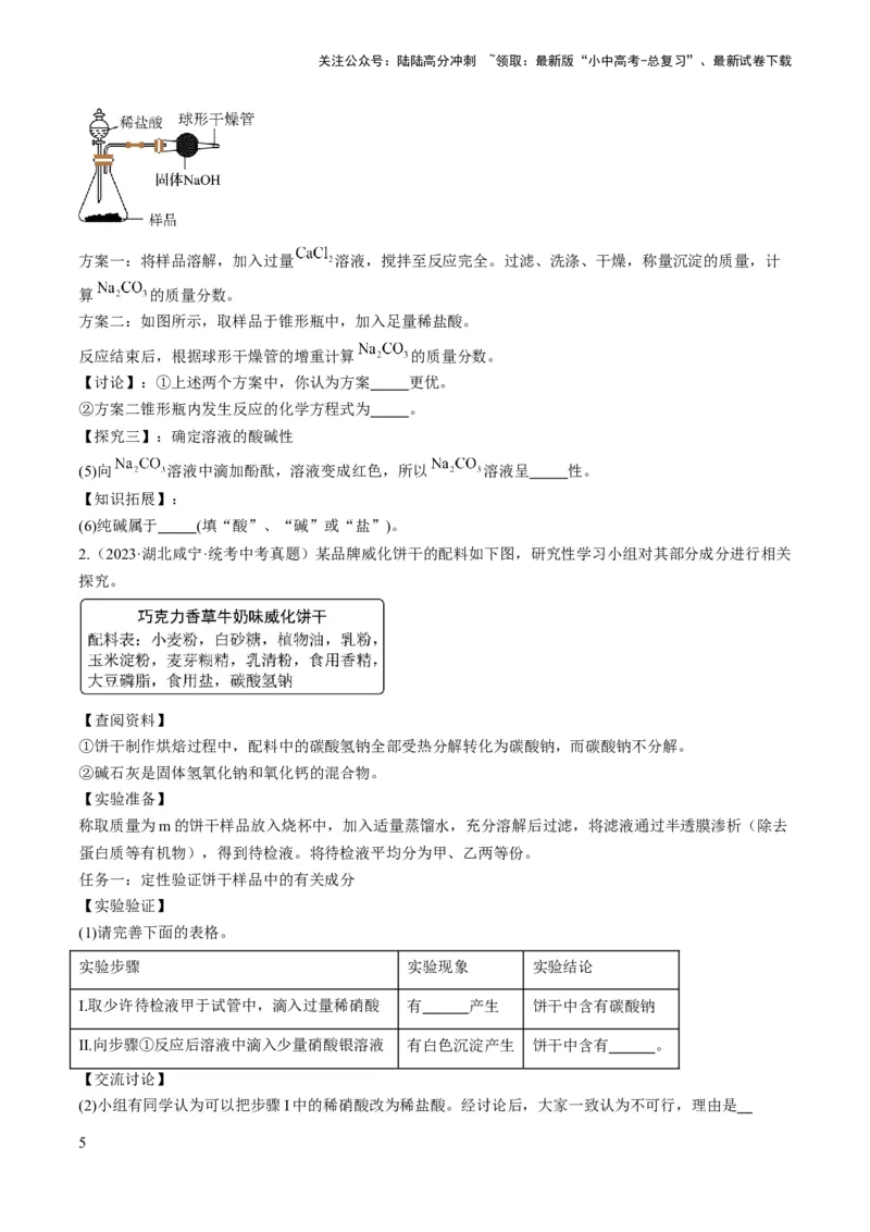 微专题11实验探究-备战2024年中考化学一轮复习考点帮（人教版）（原卷版）_02中考总复习（2026版更新中）_05-化学-中考总复习_2024年中考复习资料_一轮复习资料_微专题突破