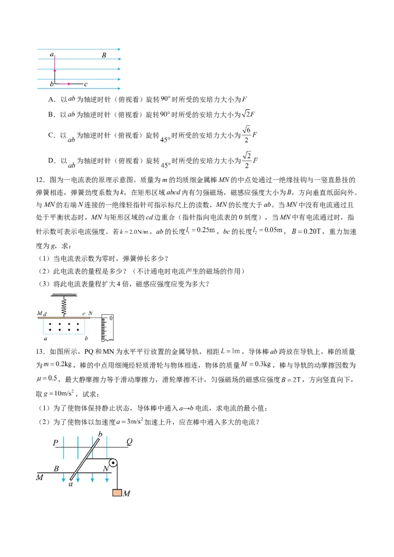 第46讲磁场及其对电流的作用（练习）（原卷版）_4.2025物理总复习_2025年新高考资料_一轮复习_2025年高考物理一轮复习讲练测（新教材新高考）