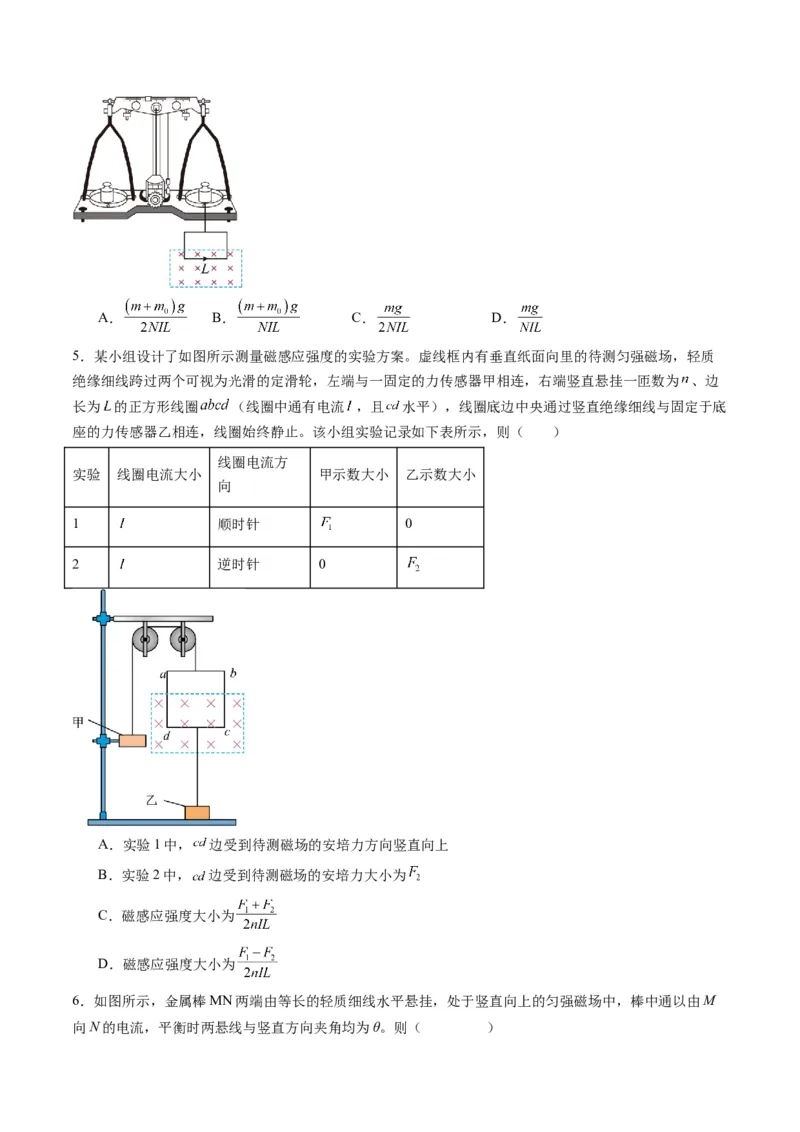 第46讲磁场及其对电流的作用（练习）（原卷版）_4.2025物理总复习_2025年新高考资料_一轮复习_2025年高考物理一轮复习讲练测（新教材新高考）
