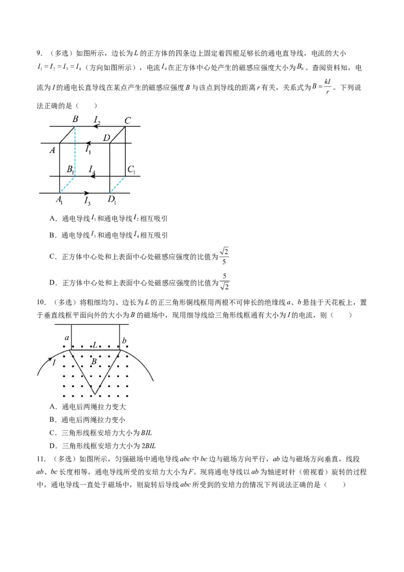 第46讲磁场及其对电流的作用（练习）（原卷版）_4.2025物理总复习_2025年新高考资料_一轮复习_2025年高考物理一轮复习讲练测（新教材新高考）