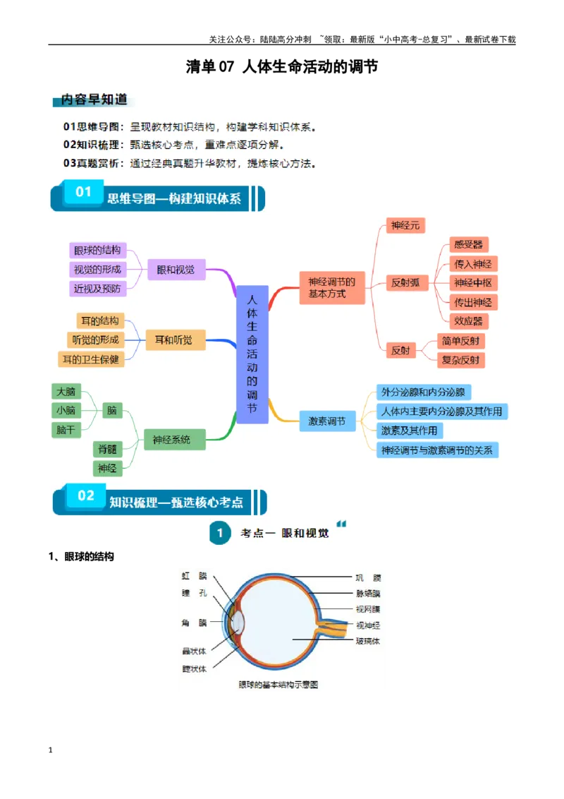 清单07人体生命活动的调节（5大考点+6大高频命题点）（学生版）_02中考总复习（2026版更新中）_08-生物-中考总复习_2024年中考复习资料_一轮复习