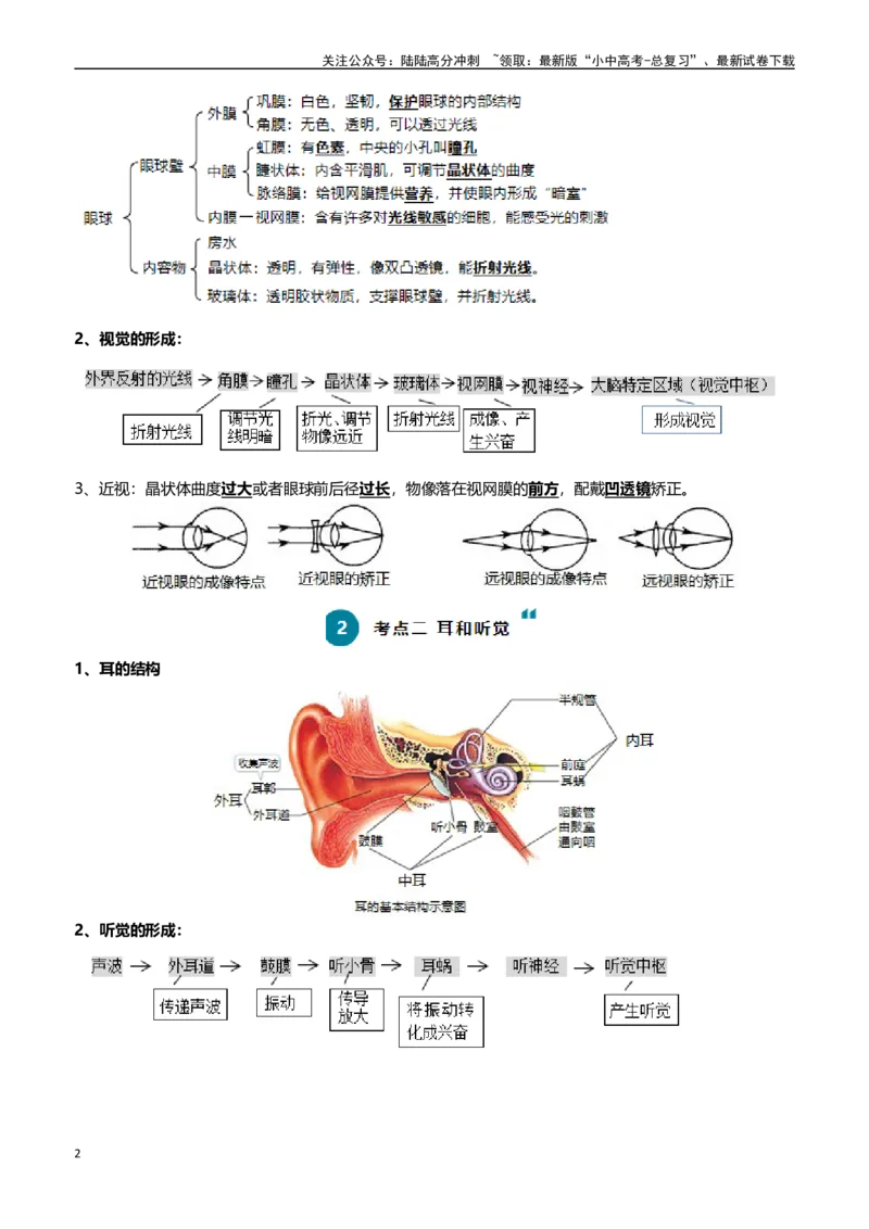清单07人体生命活动的调节（5大考点+6大高频命题点）（学生版）_02中考总复习（2026版更新中）_08-生物-中考总复习_2024年中考复习资料_一轮复习