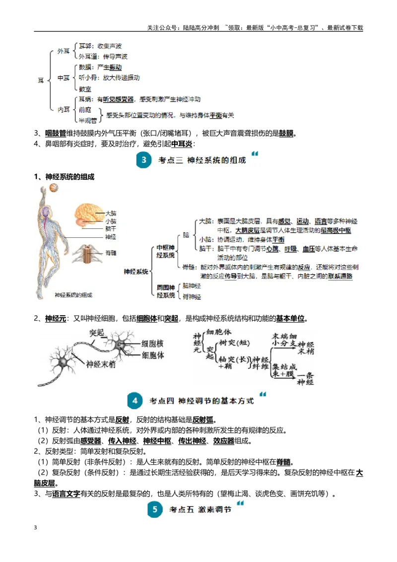 清单07人体生命活动的调节（5大考点+6大高频命题点）（学生版）_02中考总复习（2026版更新中）_08-生物-中考总复习_2024年中考复习资料_一轮复习
