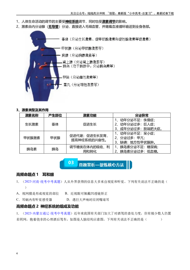 清单07人体生命活动的调节（5大考点+6大高频命题点）（学生版）_02中考总复习（2026版更新中）_08-生物-中考总复习_2024年中考复习资料_一轮复习