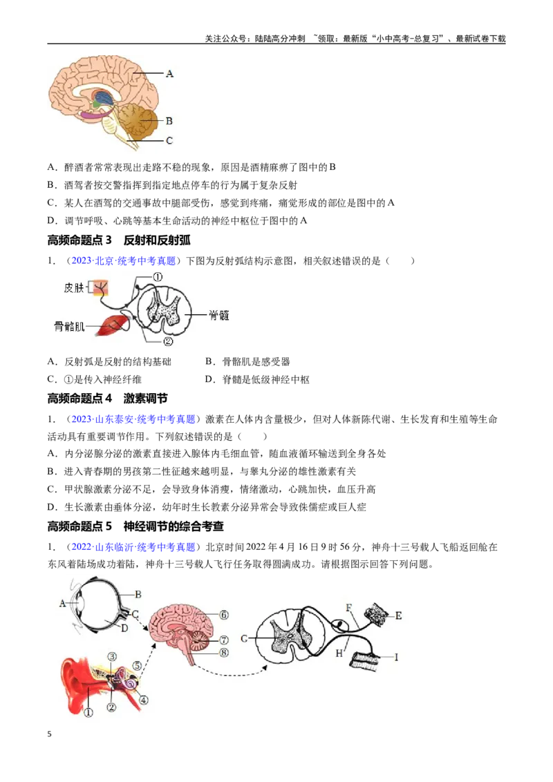清单07人体生命活动的调节（5大考点+6大高频命题点）（学生版）_02中考总复习（2026版更新中）_08-生物-中考总复习_2024年中考复习资料_一轮复习