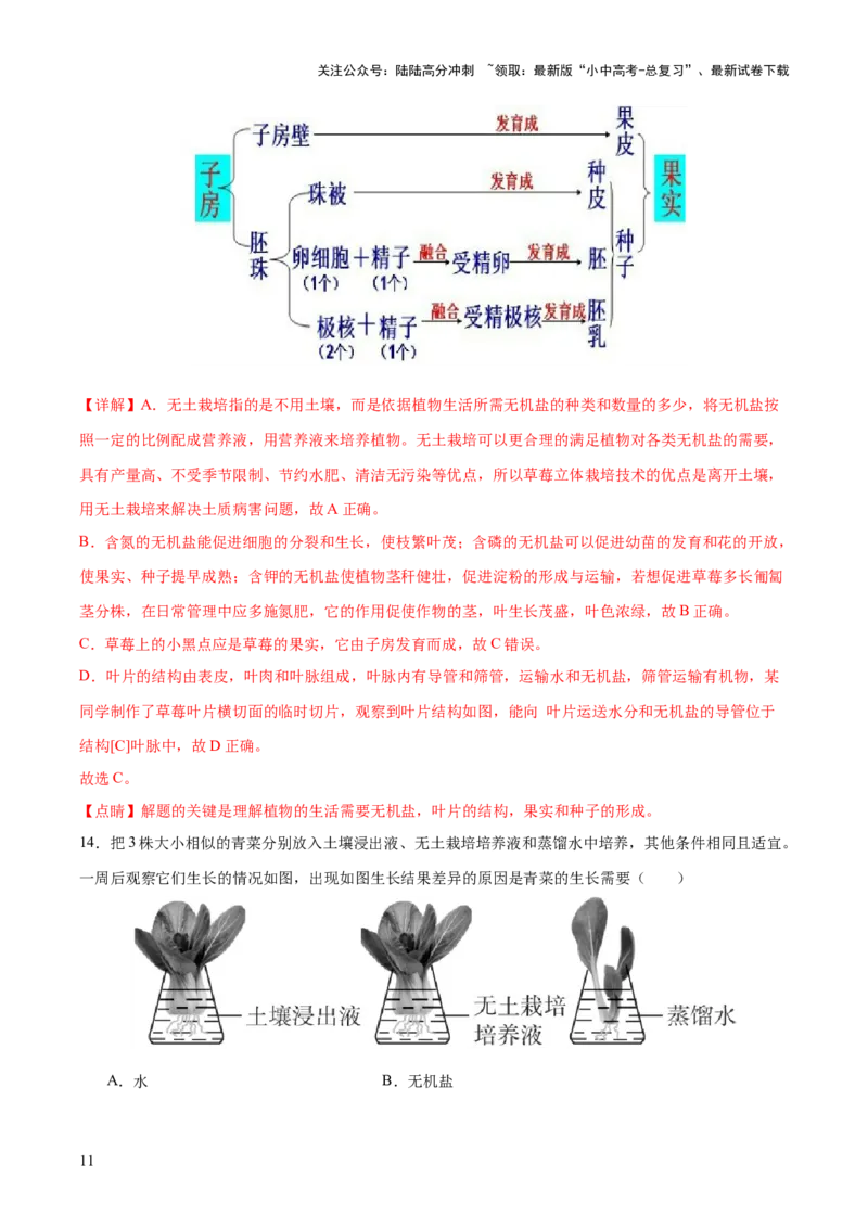 主题七生物学与社会&middot;跨学科实践（测试）（解析版）_02中考总复习（2026版更新中）_08-生物-中考总复习_2025中考复习资料_2025中考二轮课件ppt+讲义+练习生物_测试
