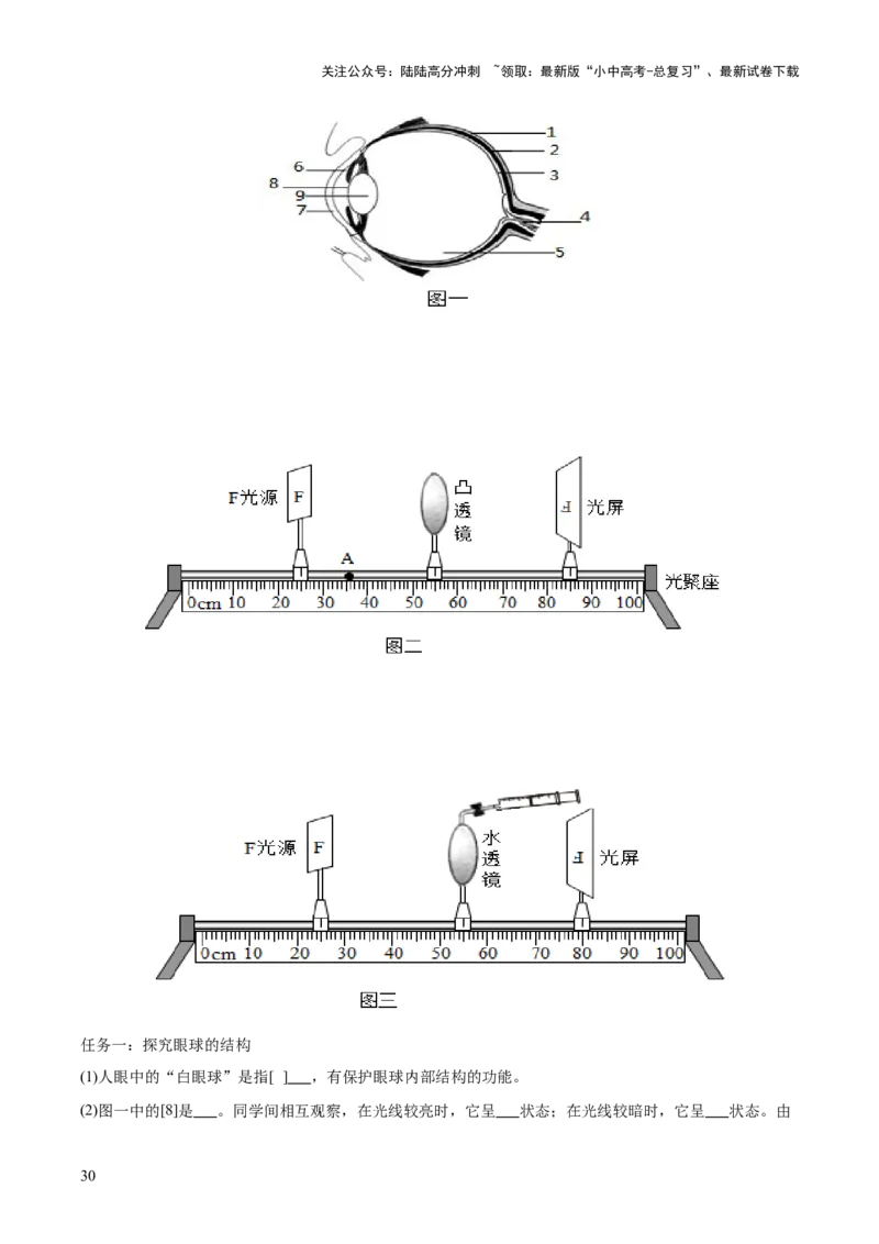 主题七生物学与社会&middot;跨学科实践（测试）（解析版）_02中考总复习（2026版更新中）_08-生物-中考总复习_2025中考复习资料_2025中考二轮课件ppt+讲义+练习生物_测试
