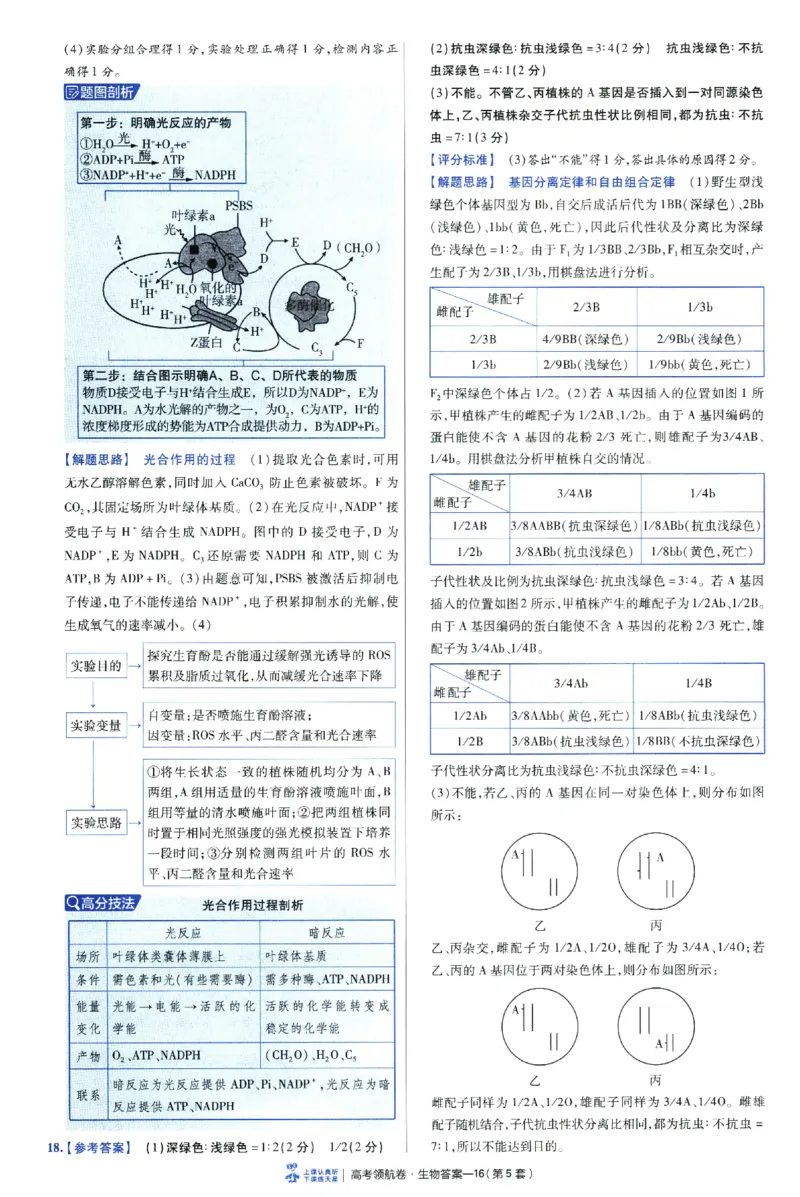 2026版金考卷&middot;百校联盟高考领航卷生物（全国单选版）-答案_2026版金考卷&middot;百校联盟高考领航卷（全科）_2026版金考卷&middot;百校联盟高考领航卷生物（单选+不定项）