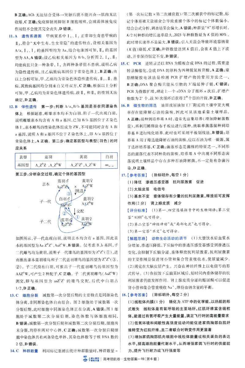 2026版金考卷&middot;百校联盟高考领航卷生物（全国单选版）-答案_2026版金考卷&middot;百校联盟高考领航卷（全科）_2026版金考卷&middot;百校联盟高考领航卷生物（单选+不定项）