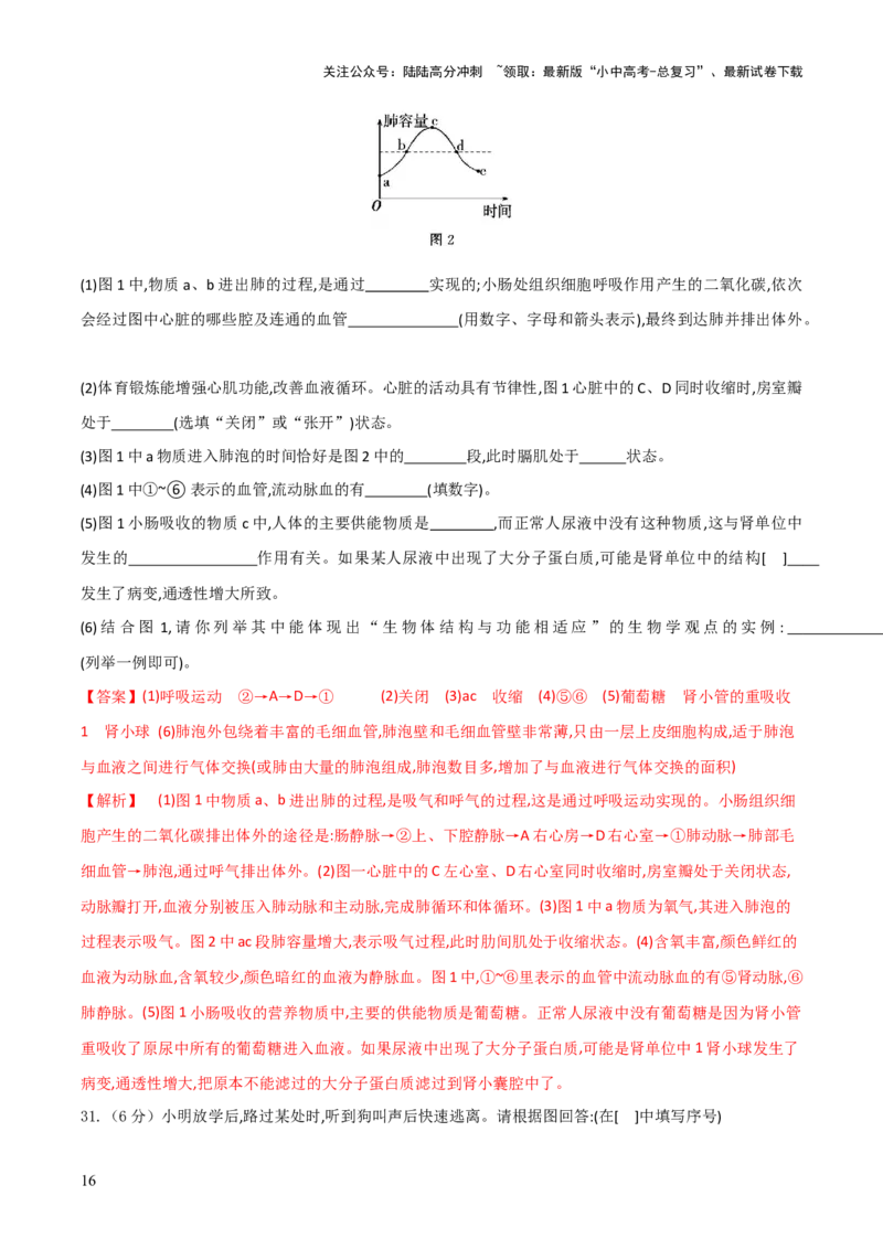 模块四人体生理与健康（测试）（解析版）_02中考总复习（2026版更新中）_08-生物-中考总复习_2024年中考复习资料_一轮复习_❤2024年中考生物一轮复习讲练测（全国通用）_练习