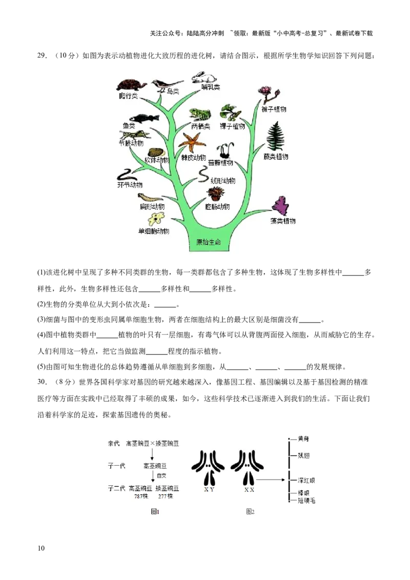 主题六遗传与进化（测试）（测试）（原卷版）_02中考总复习（2026版更新中）_08-生物-中考总复习_2025中考复习资料_2025中考二轮课件ppt+讲义+练习生物_测试