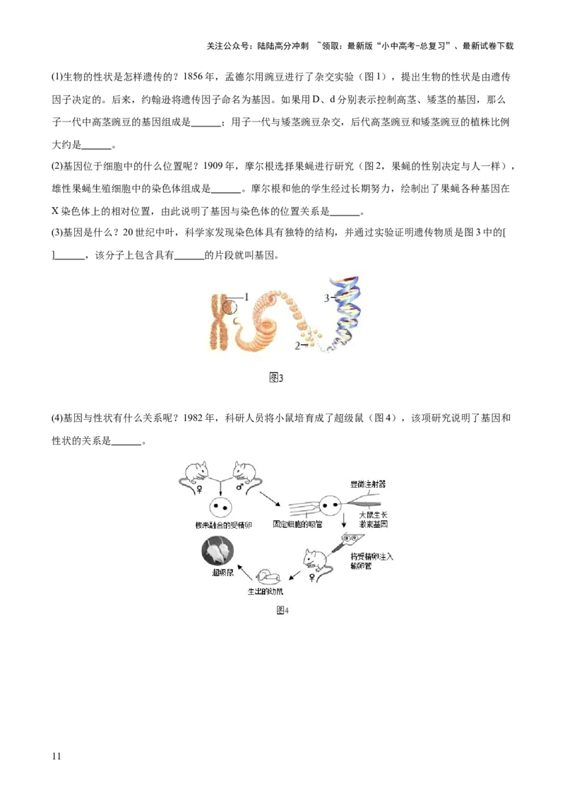 主题六遗传与进化（测试）（测试）（原卷版）_02中考总复习（2026版更新中）_08-生物-中考总复习_2025中考复习资料_2025中考二轮课件ppt+讲义+练习生物_测试