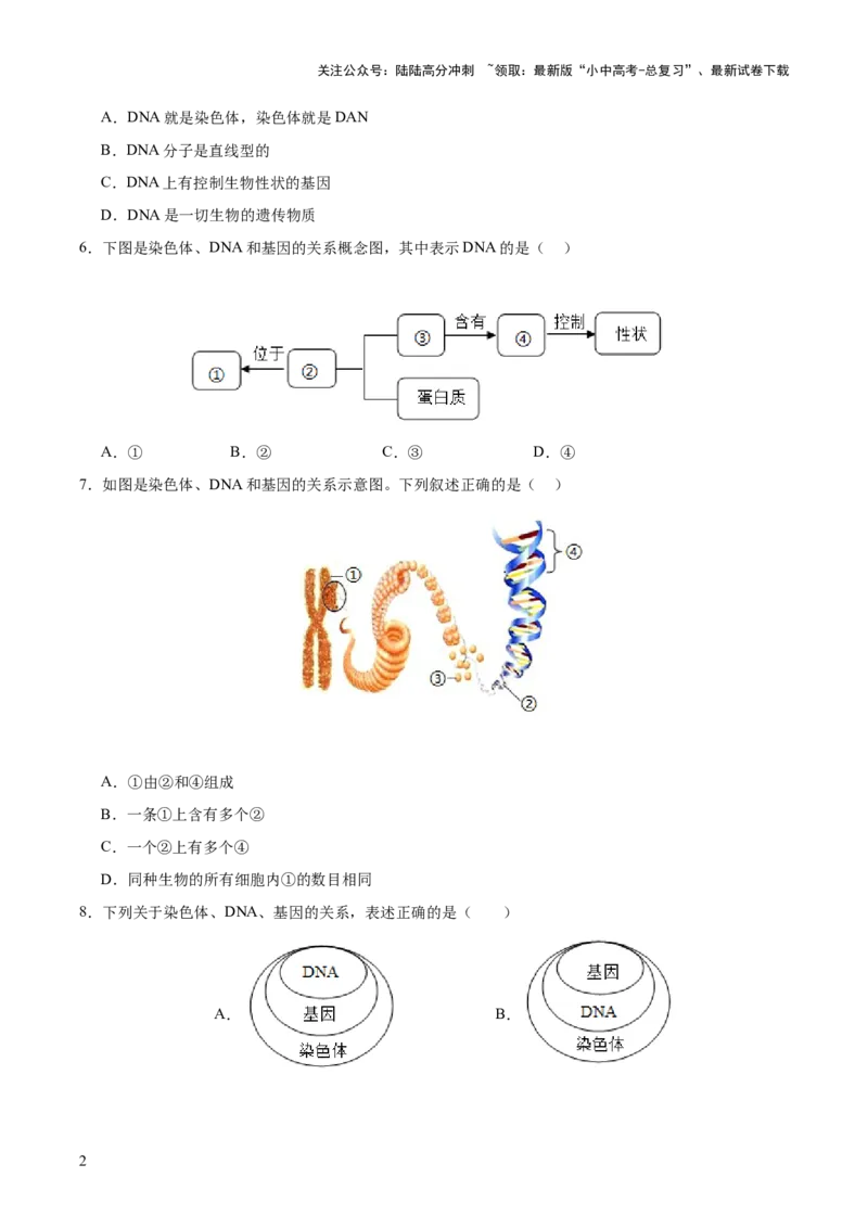 主题六遗传与进化（测试）（测试）（原卷版）_02中考总复习（2026版更新中）_08-生物-中考总复习_2025中考复习资料_2025中考二轮课件ppt+讲义+练习生物_测试