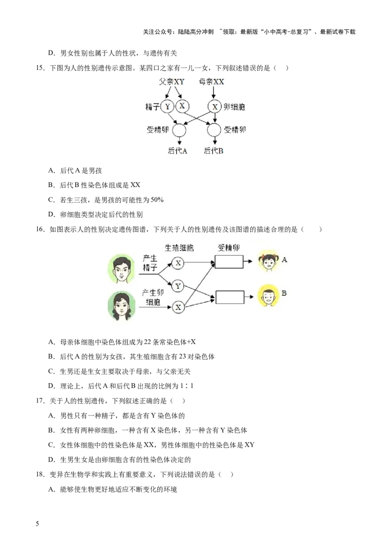 主题六遗传与进化（测试）（测试）（原卷版）_02中考总复习（2026版更新中）_08-生物-中考总复习_2025中考复习资料_2025中考二轮课件ppt+讲义+练习生物_测试