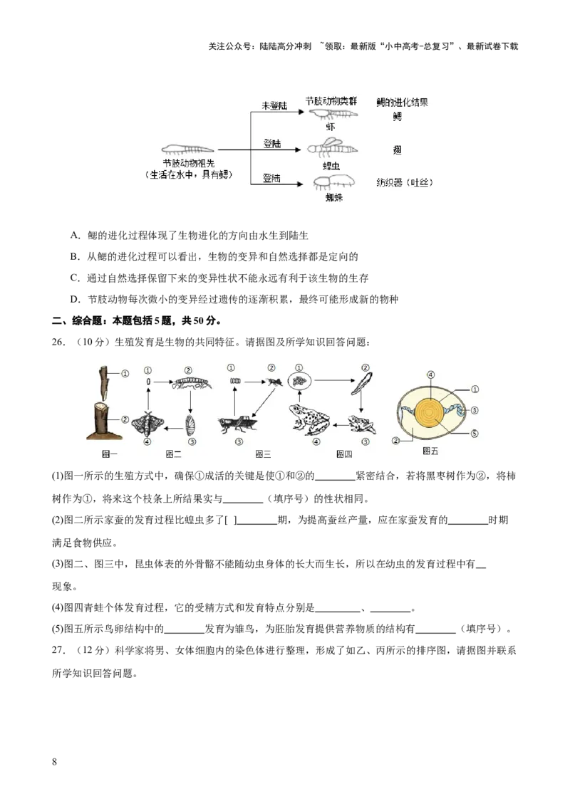 主题六遗传与进化（测试）（测试）（原卷版）_02中考总复习（2026版更新中）_08-生物-中考总复习_2025中考复习资料_2025中考二轮课件ppt+讲义+练习生物_测试