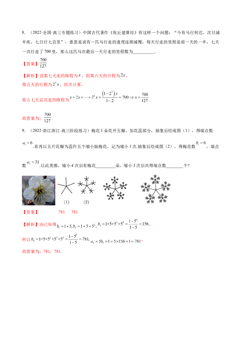 4.2等比数列（精练）（基础版）（解析版）_2.2025数学总复习_2023年新高考资料_一轮复习_2023年高考数学一轮复习（基础版）（新高考地区专用）
