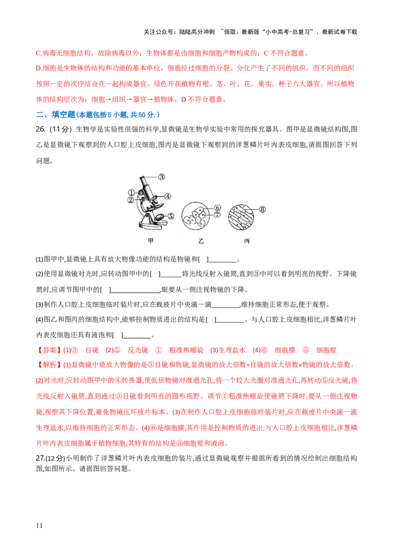 模块二生物体的结构层次（测试）（解析版）_02中考总复习（2026版更新中）_08-生物-中考总复习_2024年中考复习资料_一轮复习_❤2024年中考生物一轮复习讲练测（全国通用）_练习