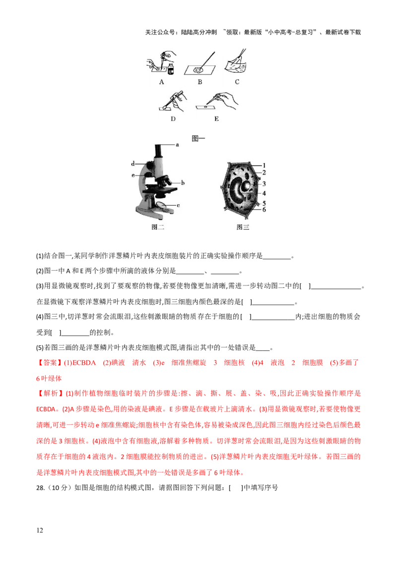 模块二生物体的结构层次（测试）（解析版）_02中考总复习（2026版更新中）_08-生物-中考总复习_2024年中考复习资料_一轮复习_❤2024年中考生物一轮复习讲练测（全国通用）_练习