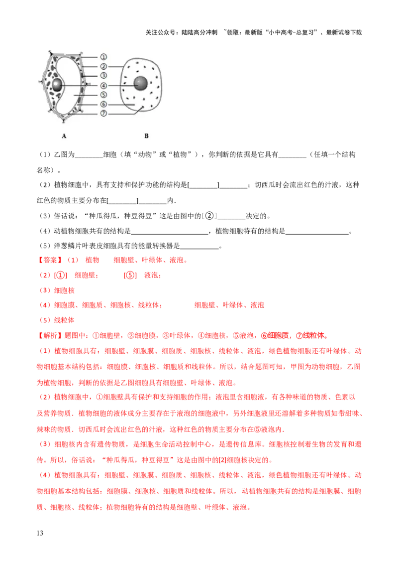 模块二生物体的结构层次（测试）（解析版）_02中考总复习（2026版更新中）_08-生物-中考总复习_2024年中考复习资料_一轮复习_❤2024年中考生物一轮复习讲练测（全国通用）_练习