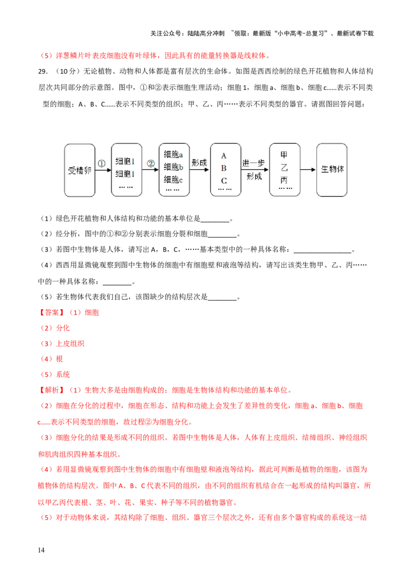 模块二生物体的结构层次（测试）（解析版）_02中考总复习（2026版更新中）_08-生物-中考总复习_2024年中考复习资料_一轮复习_❤2024年中考生物一轮复习讲练测（全国通用）_练习