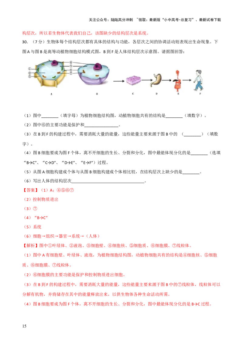 模块二生物体的结构层次（测试）（解析版）_02中考总复习（2026版更新中）_08-生物-中考总复习_2024年中考复习资料_一轮复习_❤2024年中考生物一轮复习讲练测（全国通用）_练习