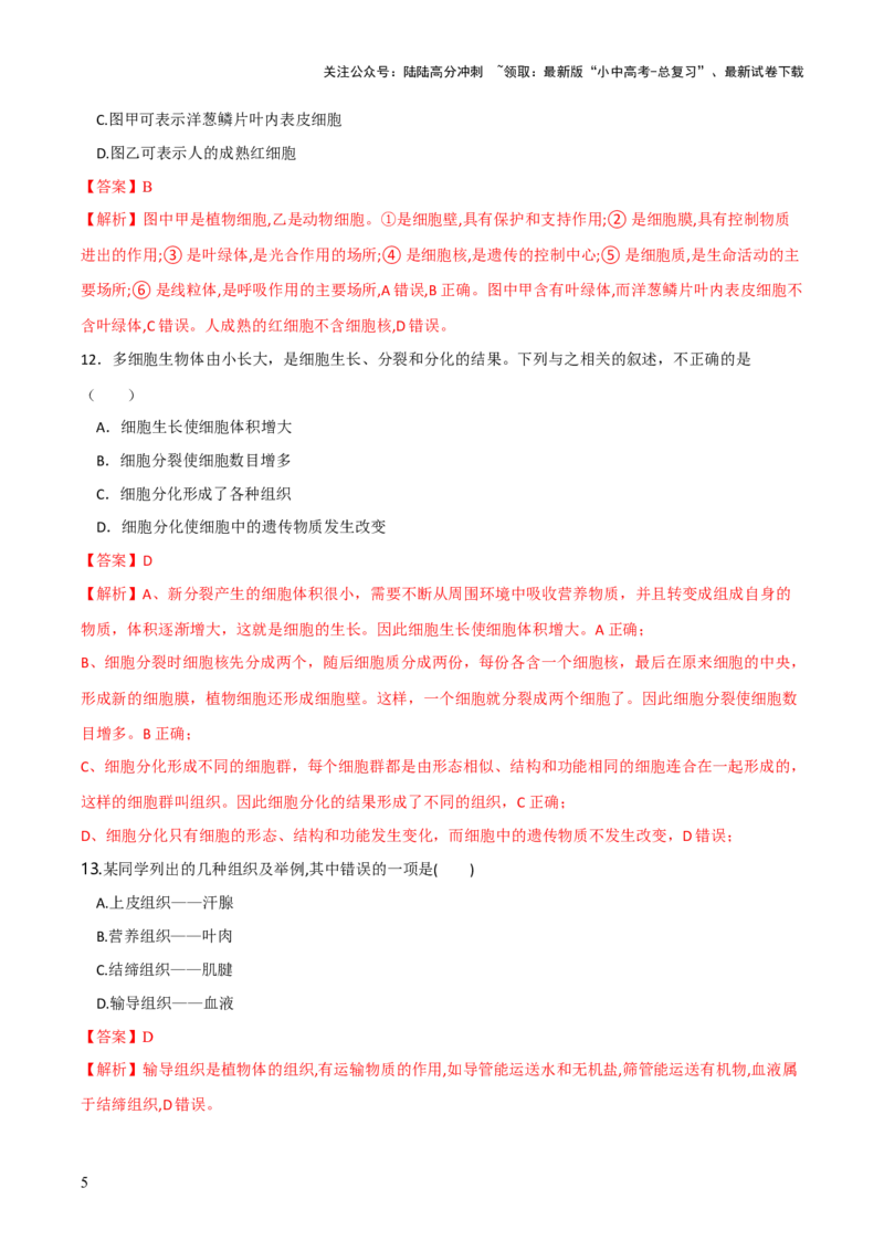 模块二生物体的结构层次（测试）（解析版）_02中考总复习（2026版更新中）_08-生物-中考总复习_2024年中考复习资料_一轮复习_❤2024年中考生物一轮复习讲练测（全国通用）_练习