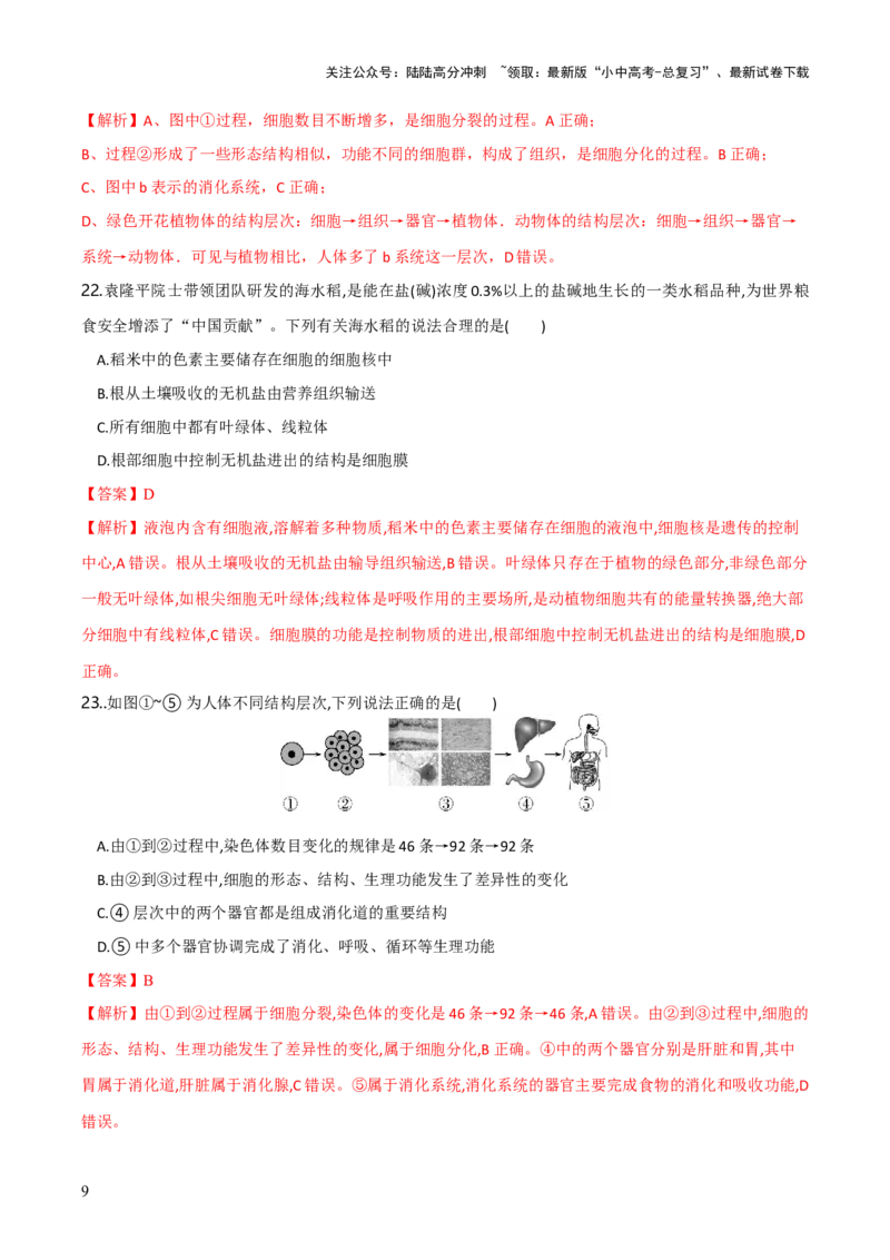 模块二生物体的结构层次（测试）（解析版）_02中考总复习（2026版更新中）_08-生物-中考总复习_2024年中考复习资料_一轮复习_❤2024年中考生物一轮复习讲练测（全国通用）_练习
