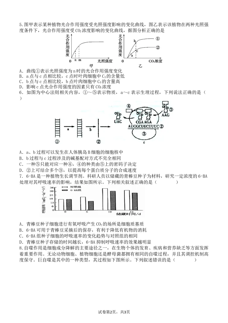 广东省东莞市七校联考2024-2025学年高三上学期12月月考生物_A1502026各地模拟卷（超值！）_12月_241219广东省东莞市七校联考2024-2025学年高三上学期12月月考试题