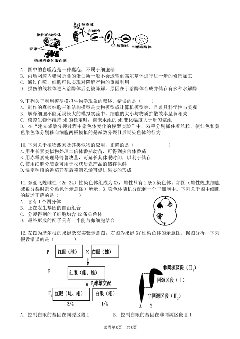 广东省东莞市七校联考2024-2025学年高三上学期12月月考生物_A1502026各地模拟卷（超值！）_12月_241219广东省东莞市七校联考2024-2025学年高三上学期12月月考试题