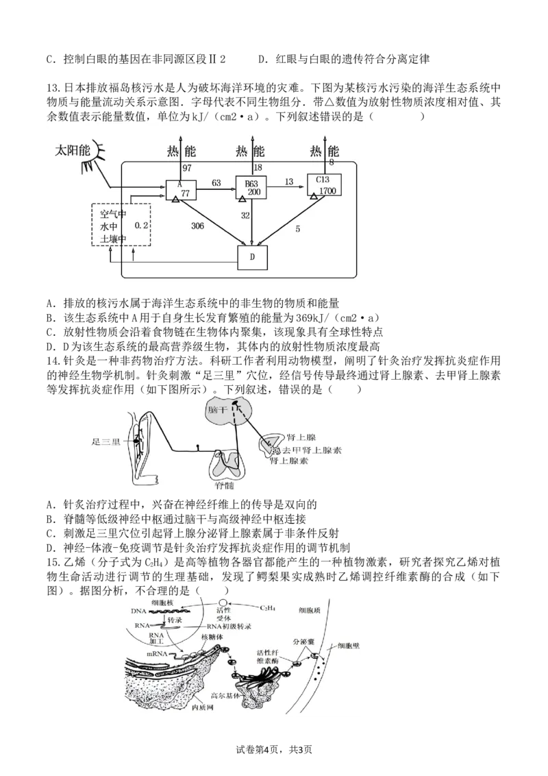 广东省东莞市七校联考2024-2025学年高三上学期12月月考生物_A1502026各地模拟卷（超值！）_12月_241219广东省东莞市七校联考2024-2025学年高三上学期12月月考试题
