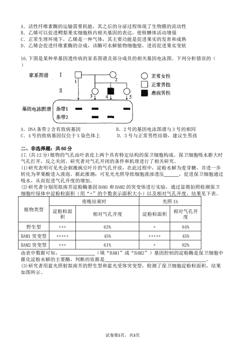 广东省东莞市七校联考2024-2025学年高三上学期12月月考生物_A1502026各地模拟卷（超值！）_12月_241219广东省东莞市七校联考2024-2025学年高三上学期12月月考试题