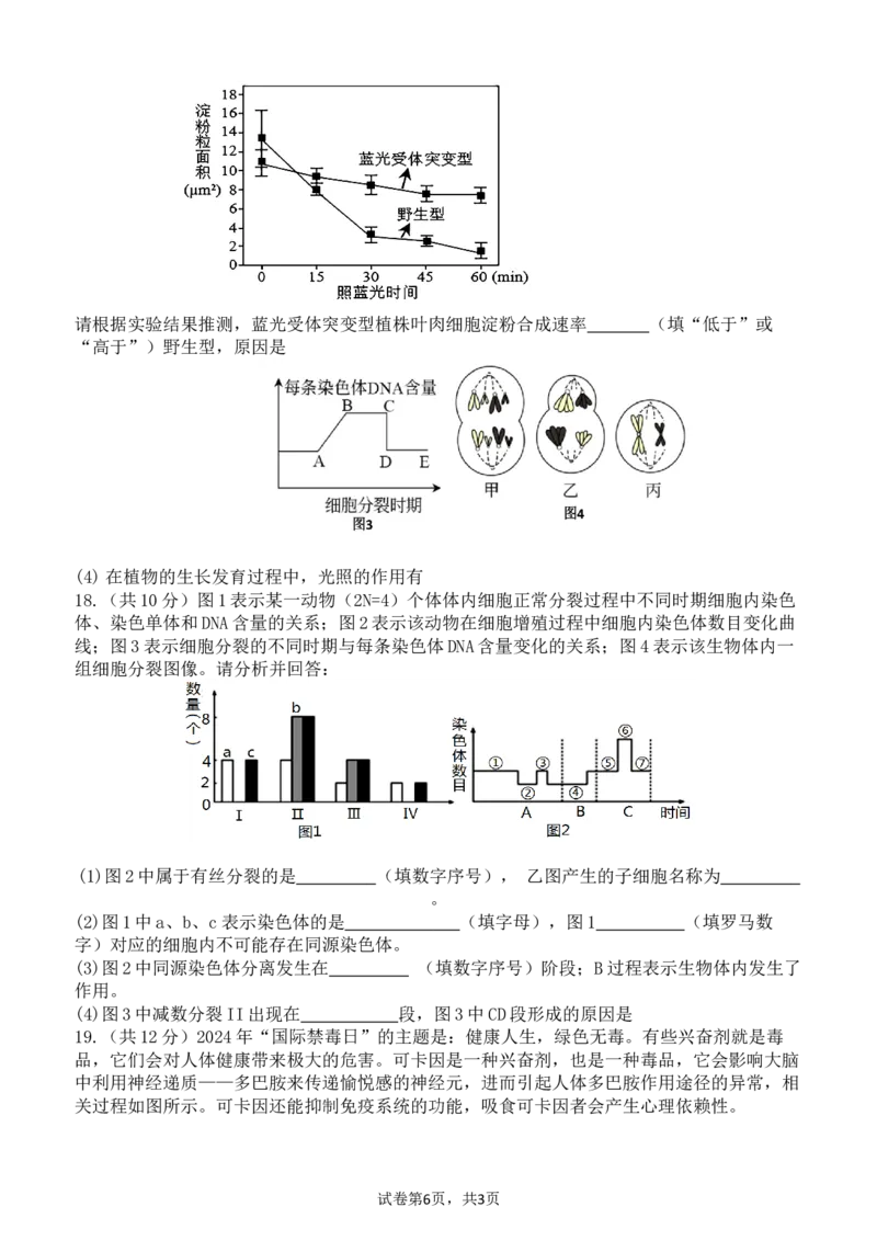 广东省东莞市七校联考2024-2025学年高三上学期12月月考生物_A1502026各地模拟卷（超值！）_12月_241219广东省东莞市七校联考2024-2025学年高三上学期12月月考试题