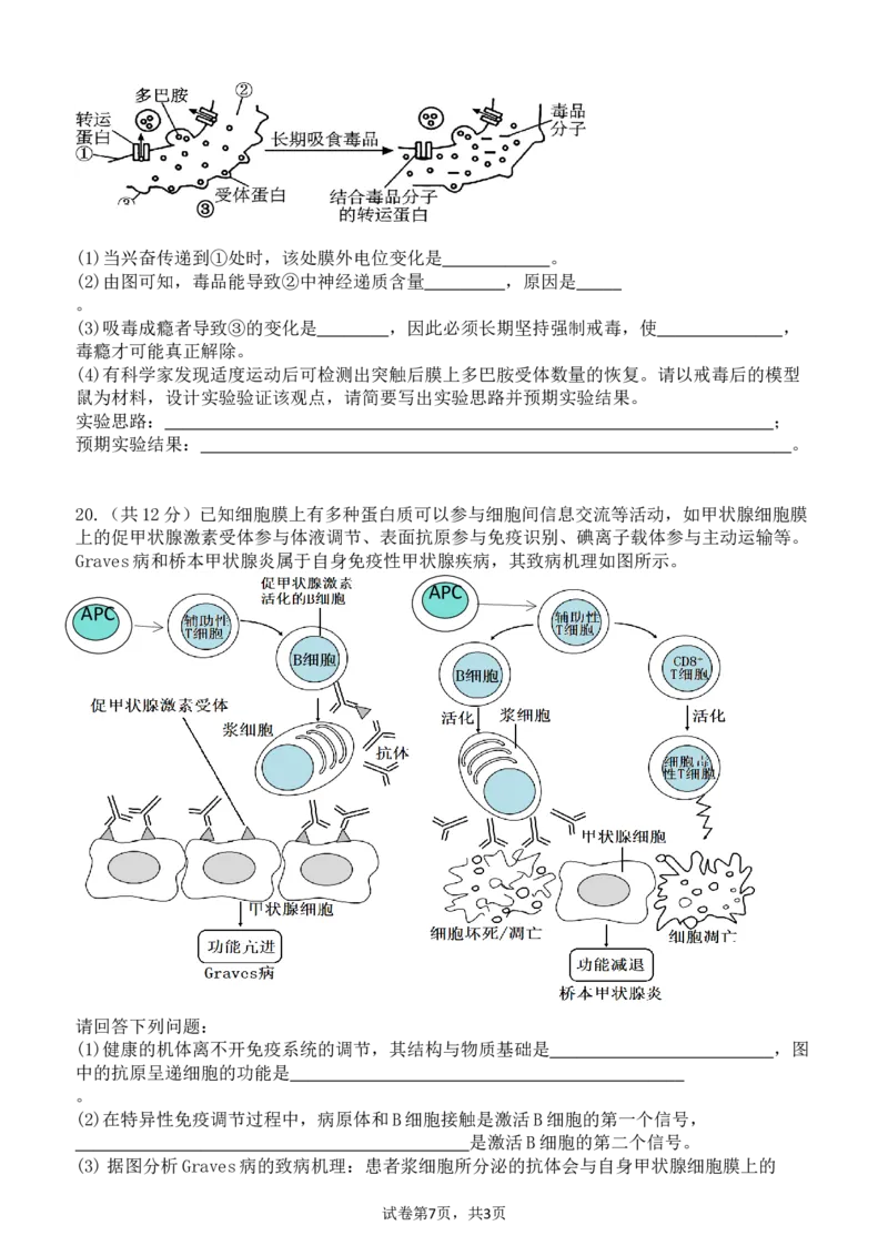 广东省东莞市七校联考2024-2025学年高三上学期12月月考生物_A1502026各地模拟卷（超值！）_12月_241219广东省东莞市七校联考2024-2025学年高三上学期12月月考试题