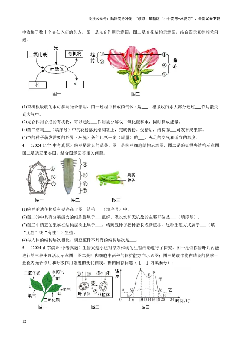 热点趋向03综合应用（讲练）（原卷版）_02中考总复习（2026版更新中）_08-生物-中考总复习_2025中考复习资料_2025中考二轮课件ppt+讲义+练习生物_测试