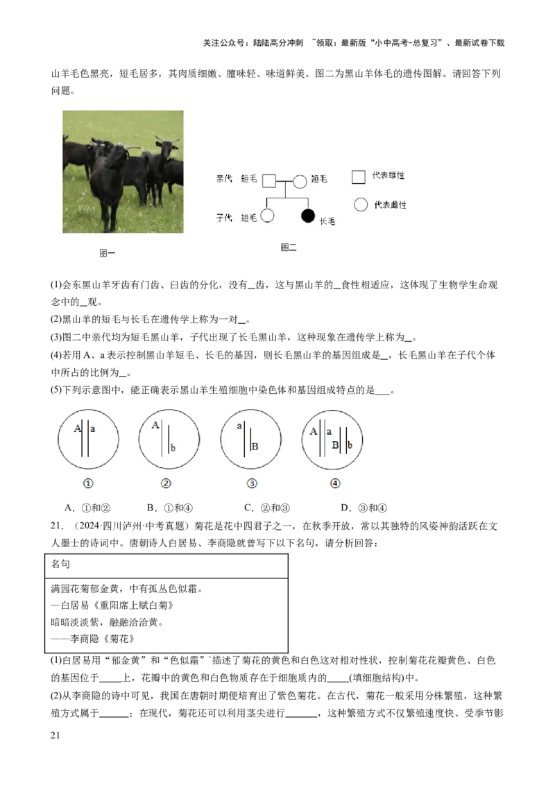 热点趋向03综合应用（讲练）（原卷版）_02中考总复习（2026版更新中）_08-生物-中考总复习_2025中考复习资料_2025中考二轮课件ppt+讲义+练习生物_测试