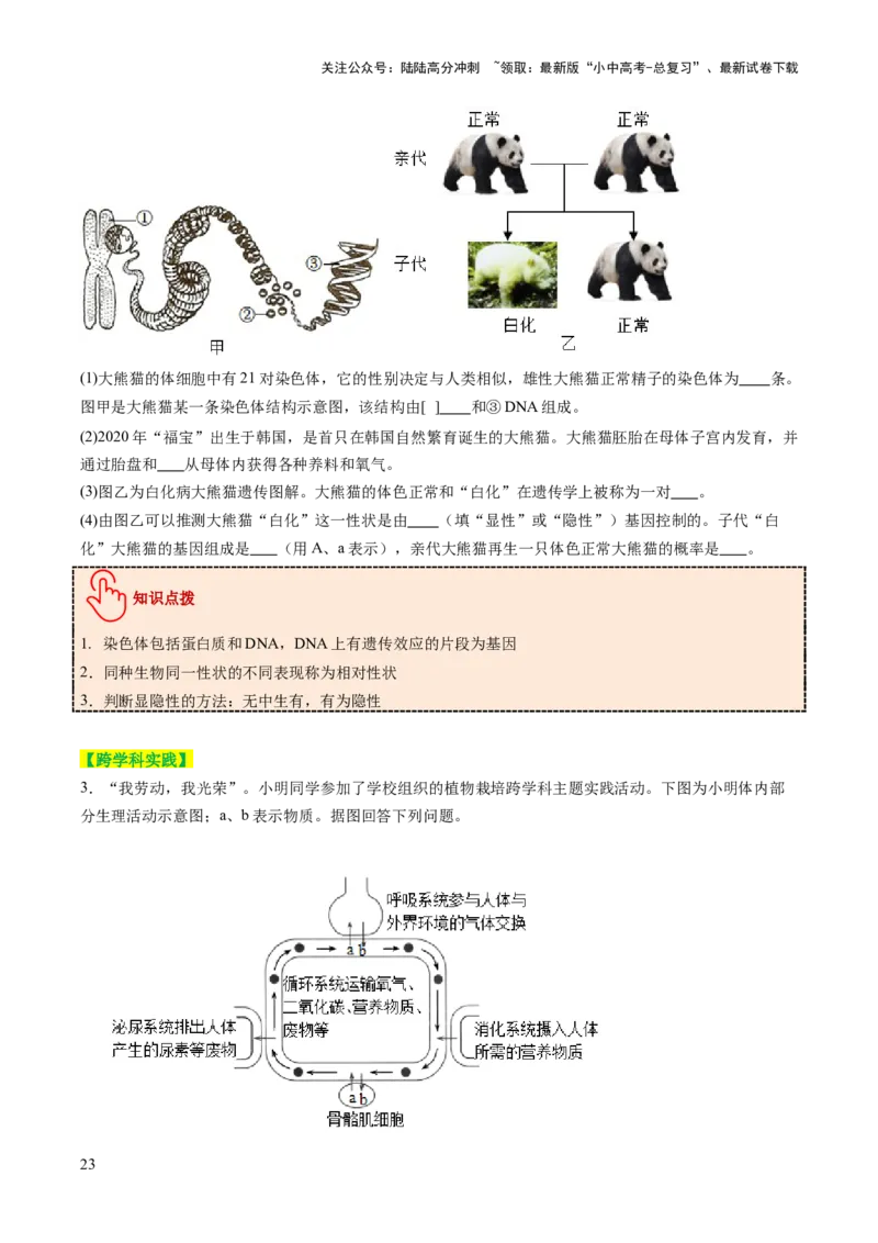 热点趋向03综合应用（讲练）（原卷版）_02中考总复习（2026版更新中）_08-生物-中考总复习_2025中考复习资料_2025中考二轮课件ppt+讲义+练习生物_测试