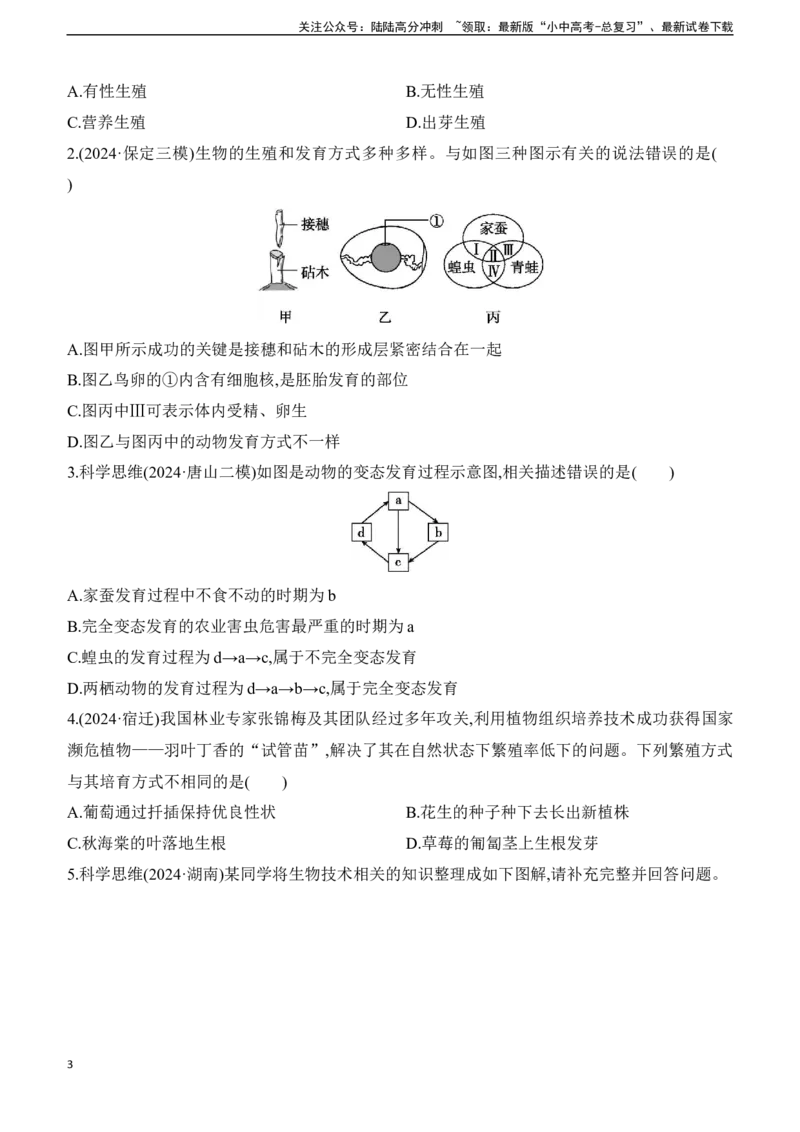 第19讲　生物的生殖和发育2025年中考生物学专题练习（含答案）_02中考总复习（2026版更新中）_08-生物-中考总复习_2025中考复习资料_2025年中考生物学专题练习(含答案)