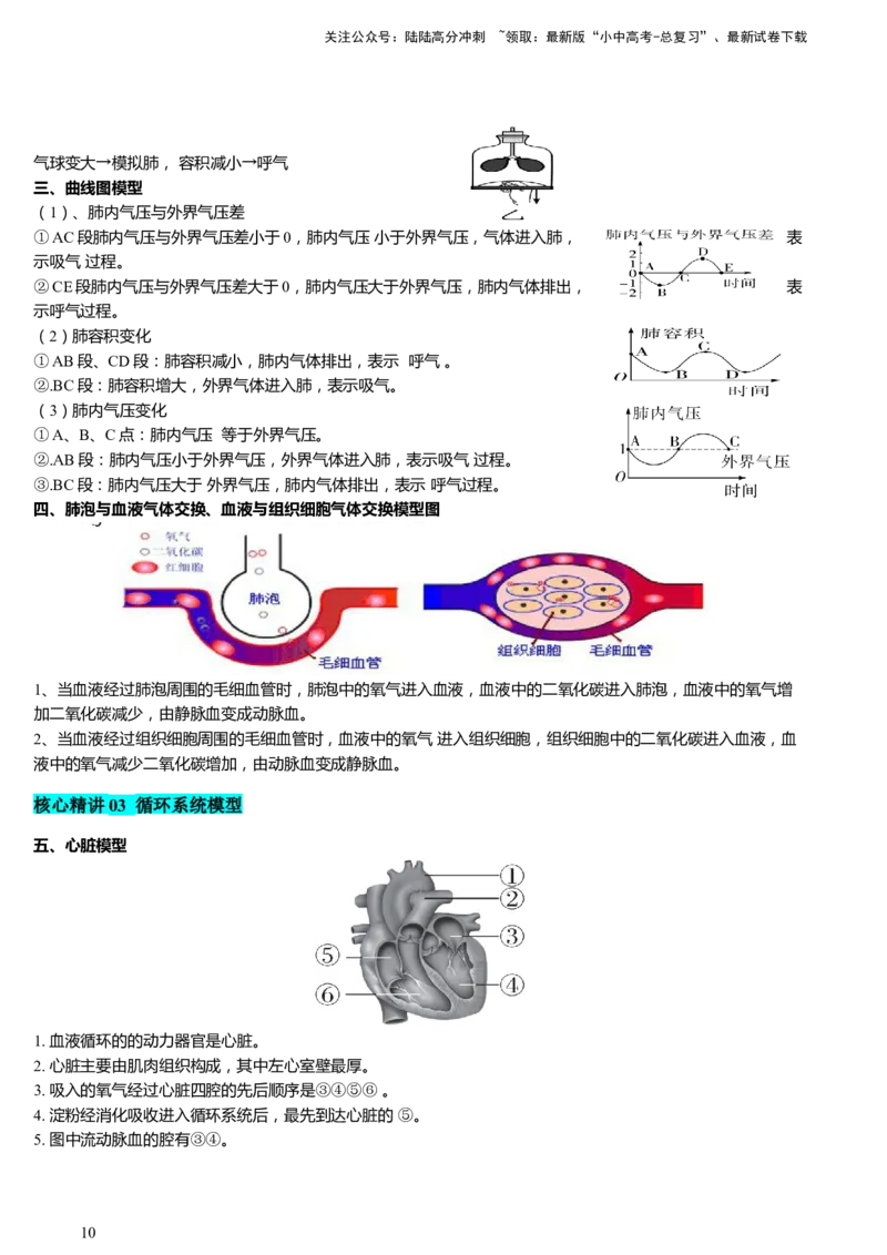 热点突破03人体生理活动模型构建（讲练）（原卷版）_02中考总复习（2026版更新中）_08-生物-中考总复习_2025中考复习资料_2025中考二轮课件ppt+讲义+练习生物_讲义+练习