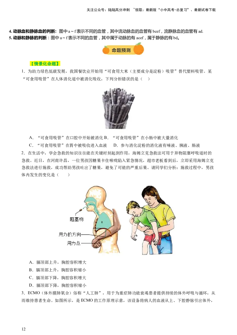 热点突破03人体生理活动模型构建（讲练）（原卷版）_02中考总复习（2026版更新中）_08-生物-中考总复习_2025中考复习资料_2025中考二轮课件ppt+讲义+练习生物_讲义+练习